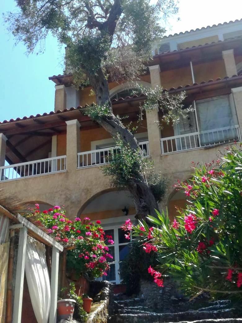 Kohyli Beachfront House Agia Pelagia Chlomou Экстерьер фото